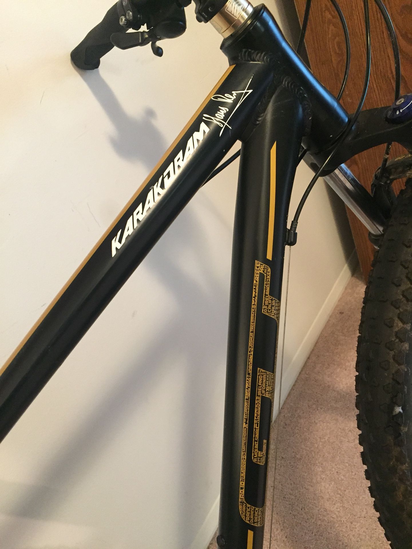 Gt karakoram online hans rey 29er