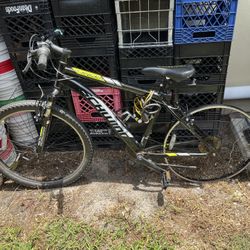 Showing Bicycle Aluminum Frame Needs Back Tire Rims Are Straight
