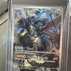 Pokémon - N’s Zekrom 031
