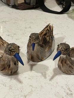Ornament Christmas Decorations Party Feathered Birds Ducks Geese 