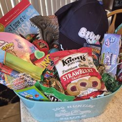 BLUEY & DINOSAUR BASKET HE WILL LOVE!