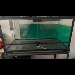 Reptile Tank