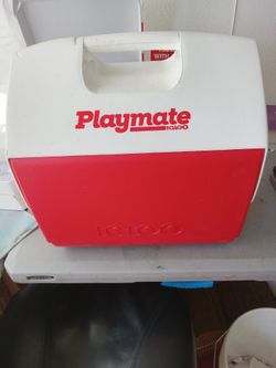 Igloo Cooler