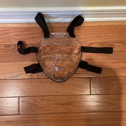 Protective Face Mask