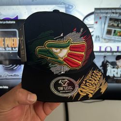 Mexico SnapBack