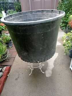 masetero para plantas
