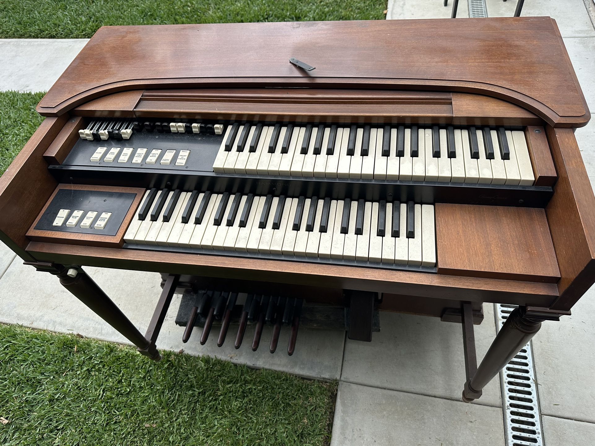 Hammond M3 Organ