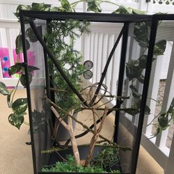 Reptile/Chameleon Kit