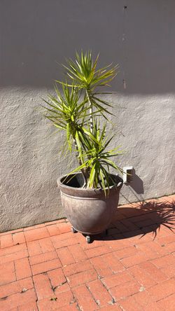 Planter with flowers inside