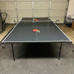 Pro Sized Ping Pong Table 