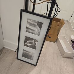 free wall art/ frames