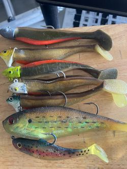 Swim Bait with Lead Head Hook