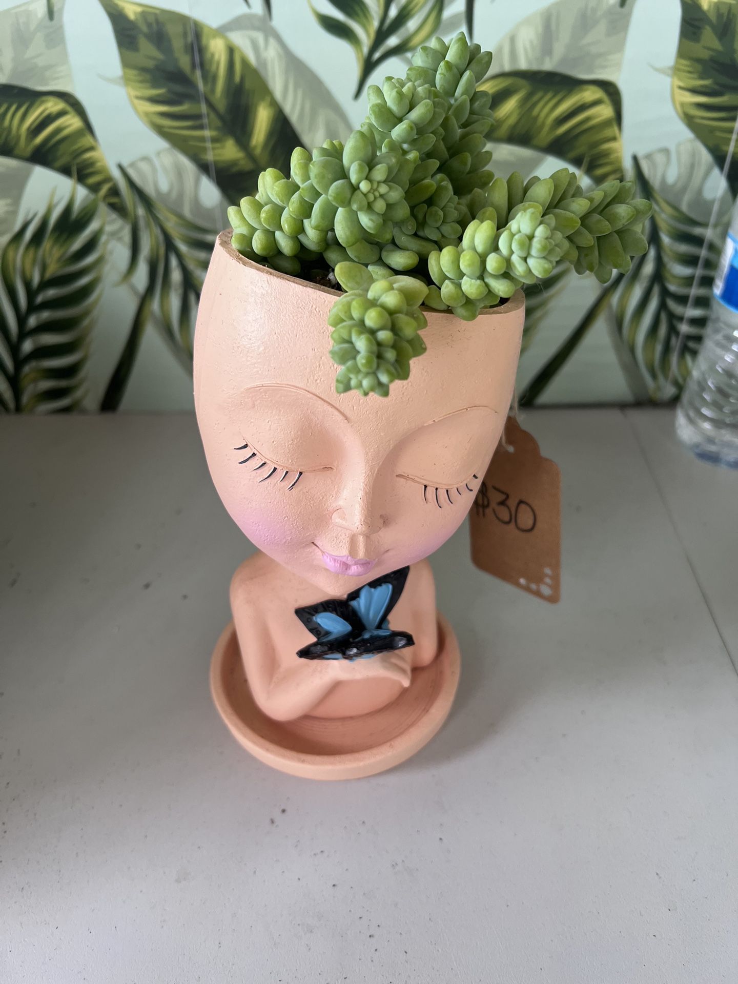 Face Pot Plant 