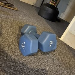Two 20 Pound Dumbbells For 35 Bucks