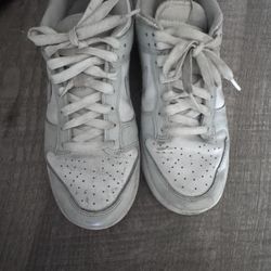 Gray Nike Dunk Low