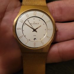 Skagen Watch 