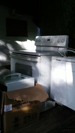 Dishwasher and microwave and stove
