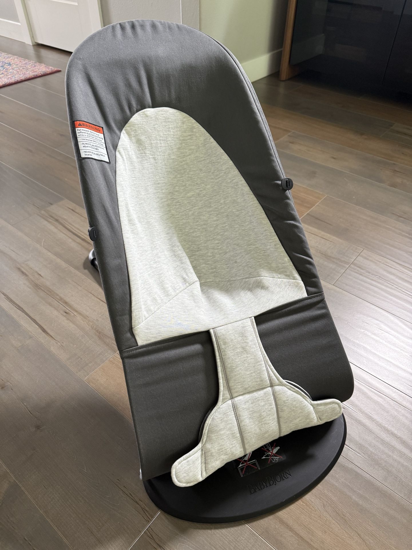 Baby Bjorn Bouncer