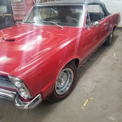 1965 LEMANS CONVERTIBLE