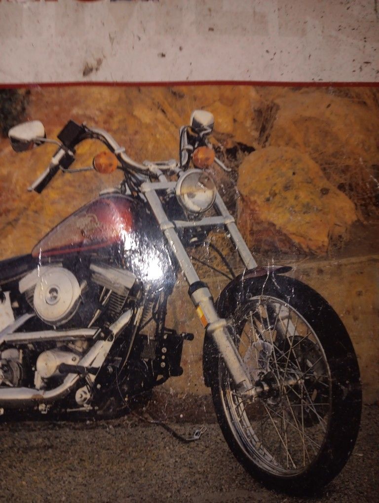 2000 Sportster 1200 custom Sportster 1200 custom