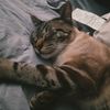 Oliver F