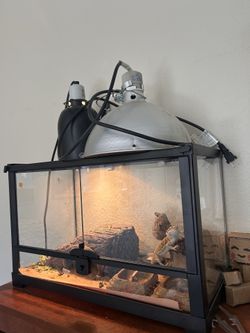 Tank