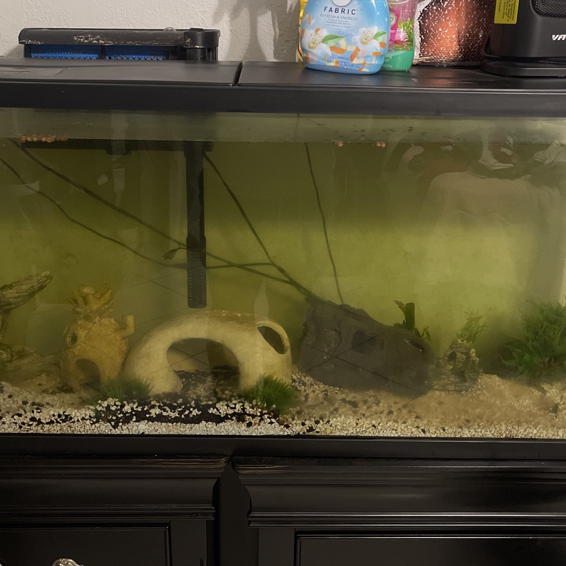 Fish Tank From Pet Smart