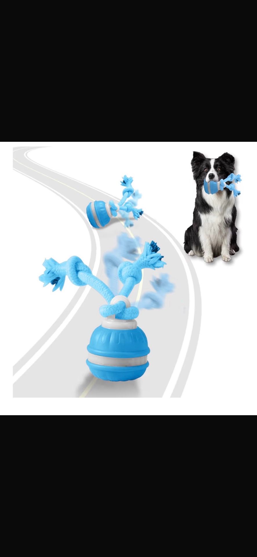 Juguetes interactivos para perros.🏷️ Interactive dog toys