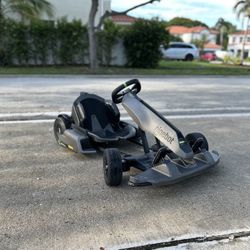 Segway Go Kart Pro