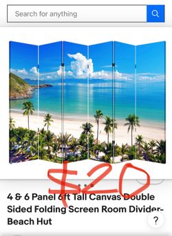 Room divider $20 6panels
