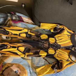 Bumble Bee Costume 