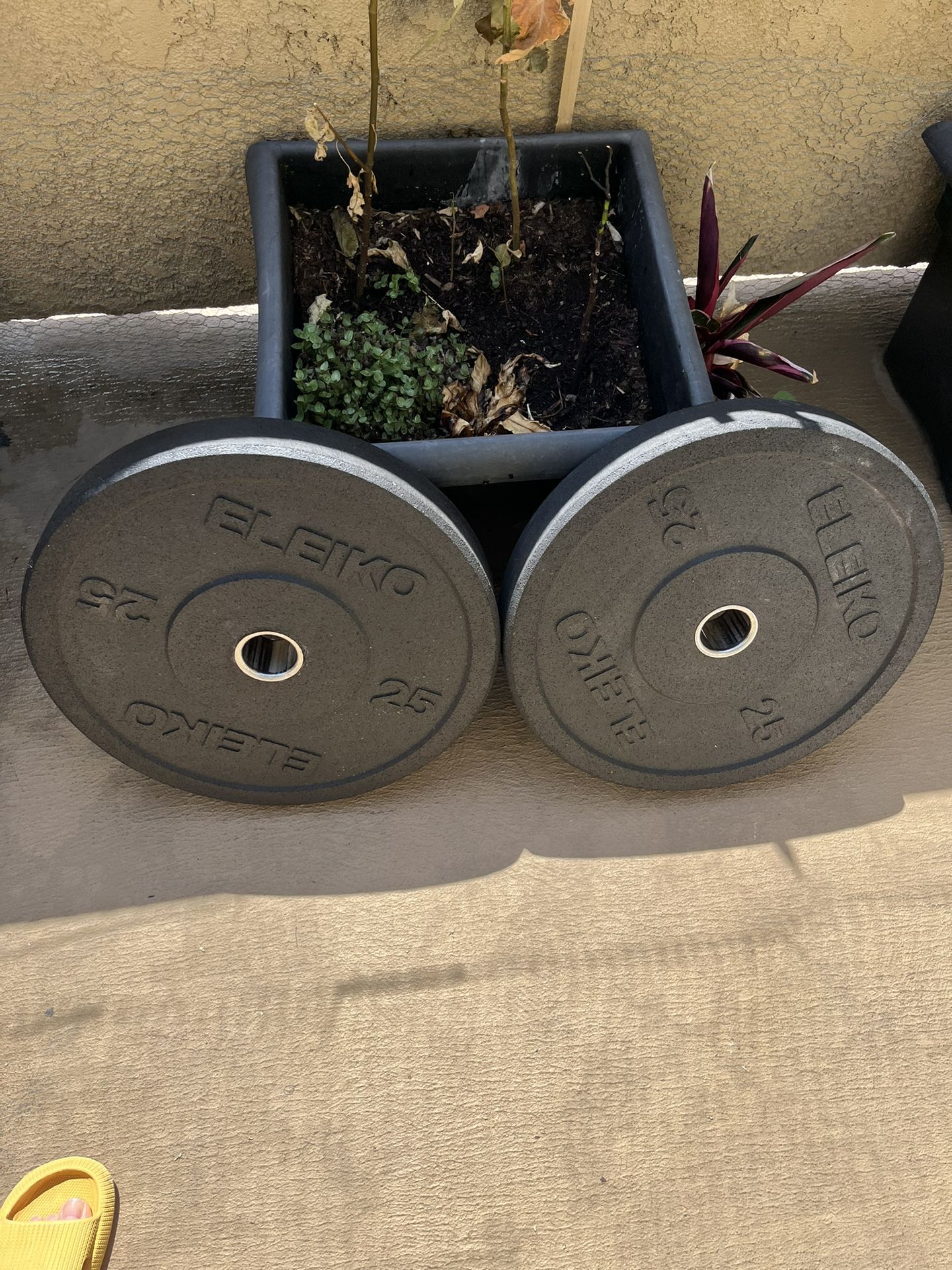 Weight Plates - Rogue Eleiko