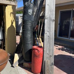 2 Punching Bags For Sale $120.00 OBO