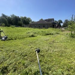 Grass Cut And Tree Work