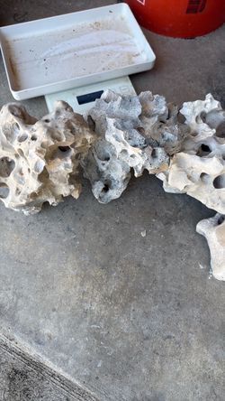Texas Holey Rock