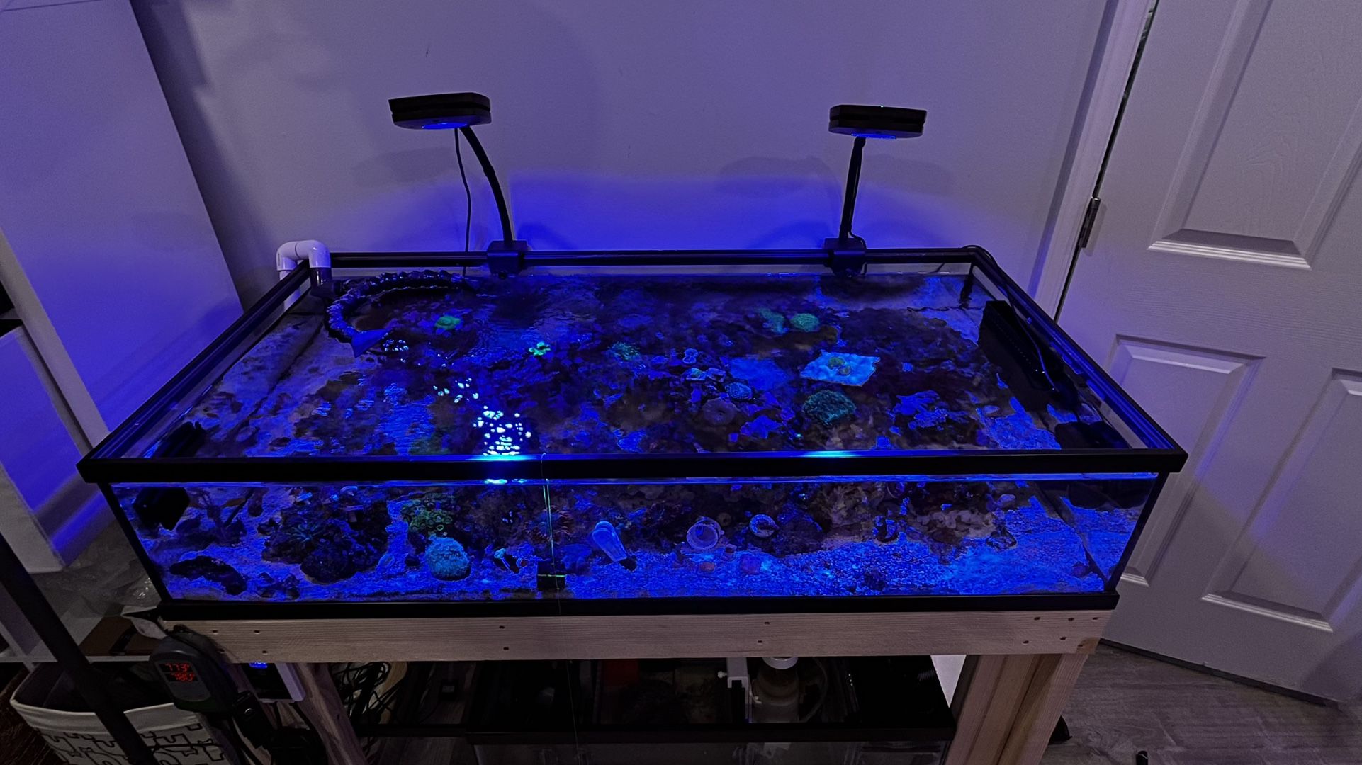 50 gallon+20 gallon sump lowboy aquarium system with stand