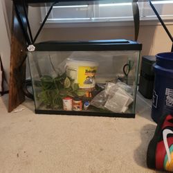 Fish Tanks
