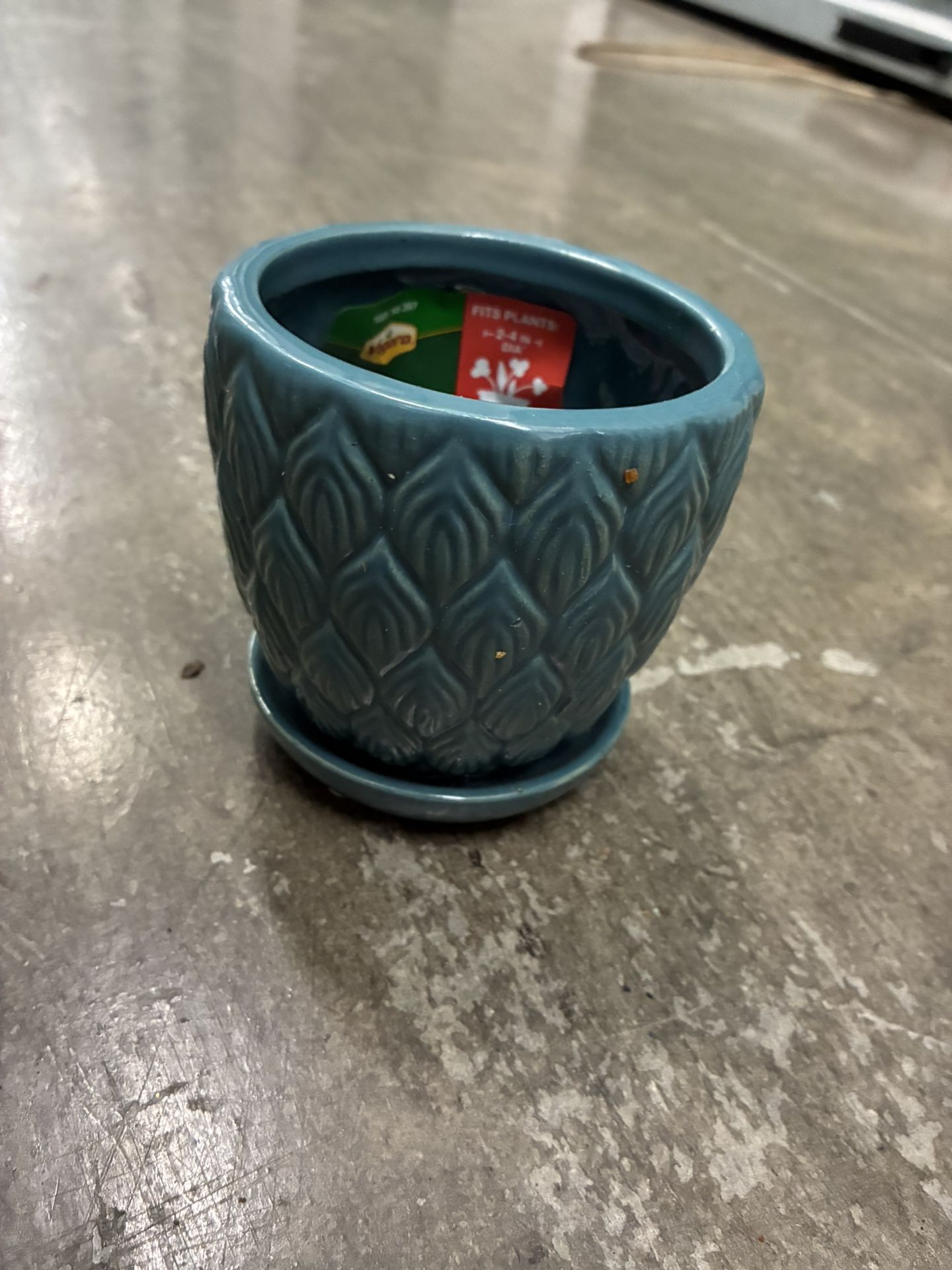 Cute Punt Size Ceramic Pot
