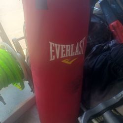 Everlast Punching Bag