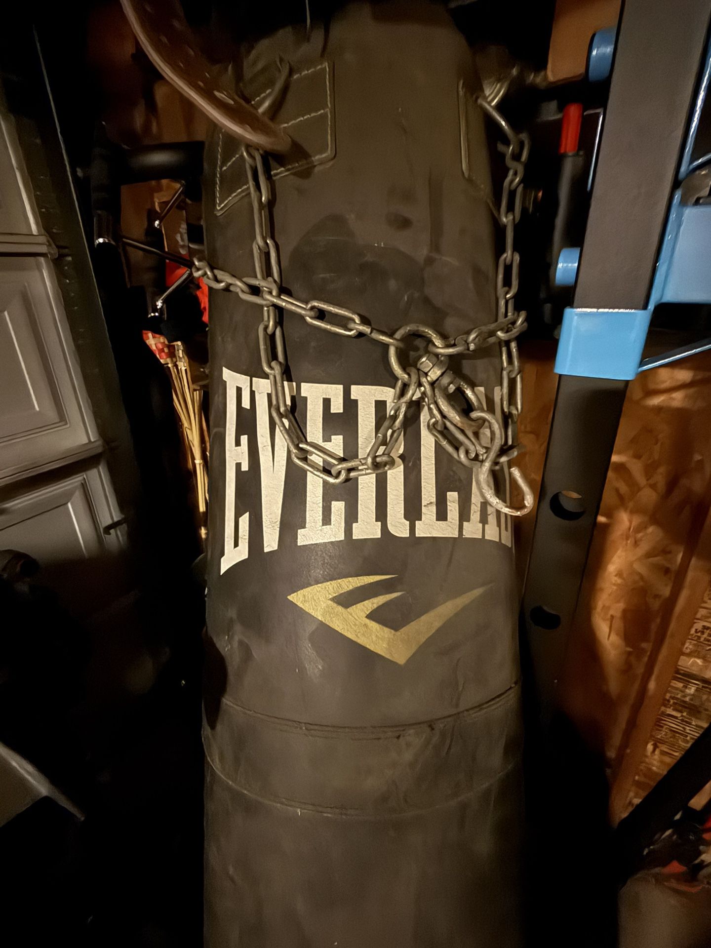 Everlast Punching Bag