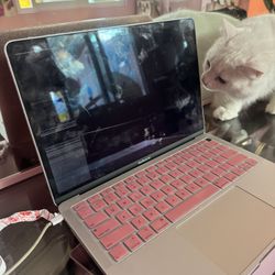 2018 MacBook Air 13in