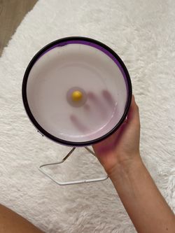 hamster wheel