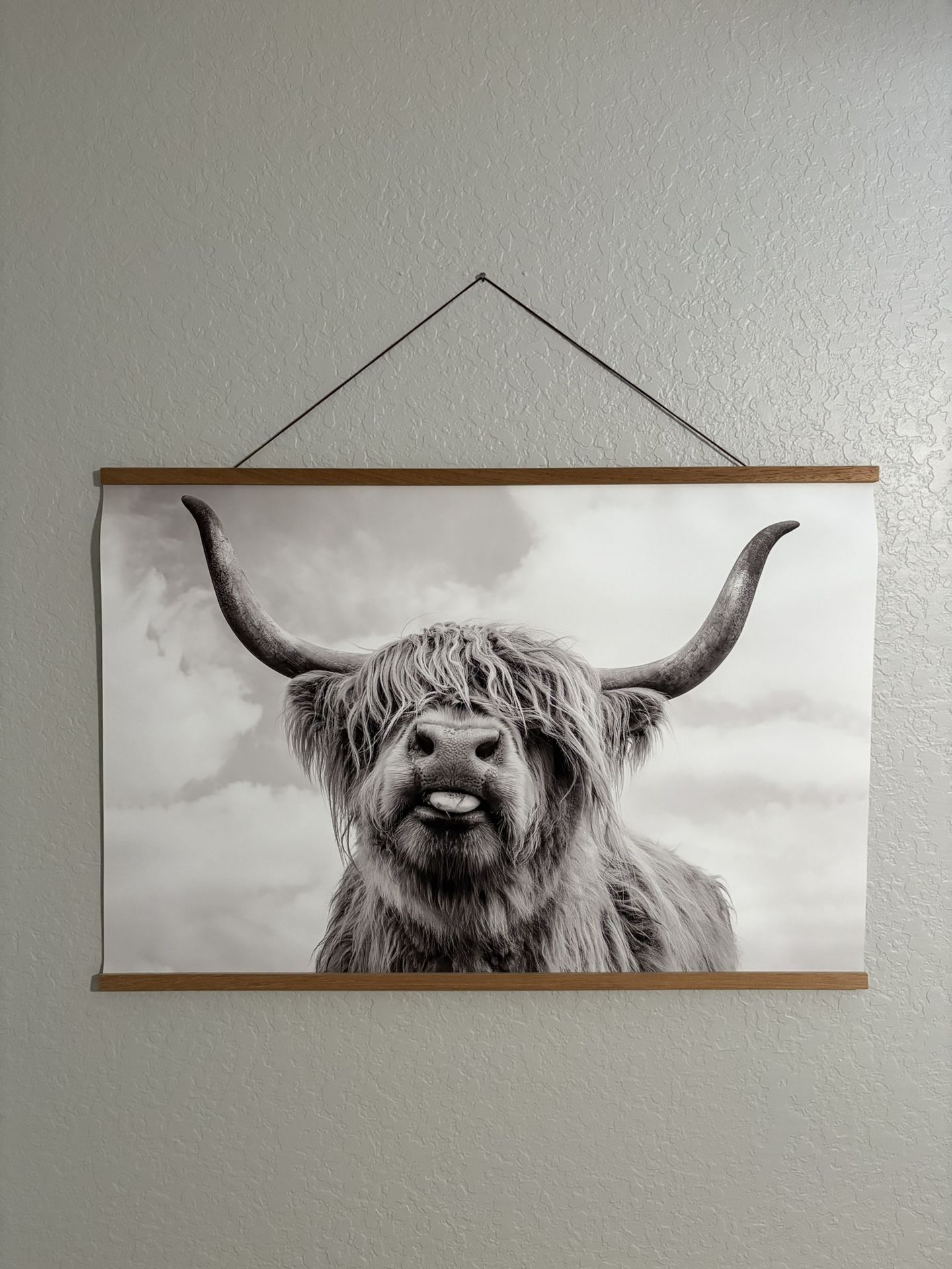 Highland Cow Art