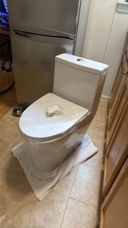 Brand new toilet