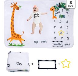 Baby milestone blanket and wooden monthly cards