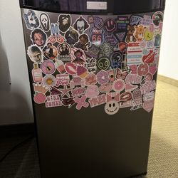 Mini Fridge