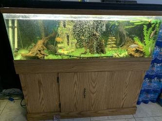 Fish thank