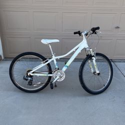 24 Inch Giant Are a mountain Bike.