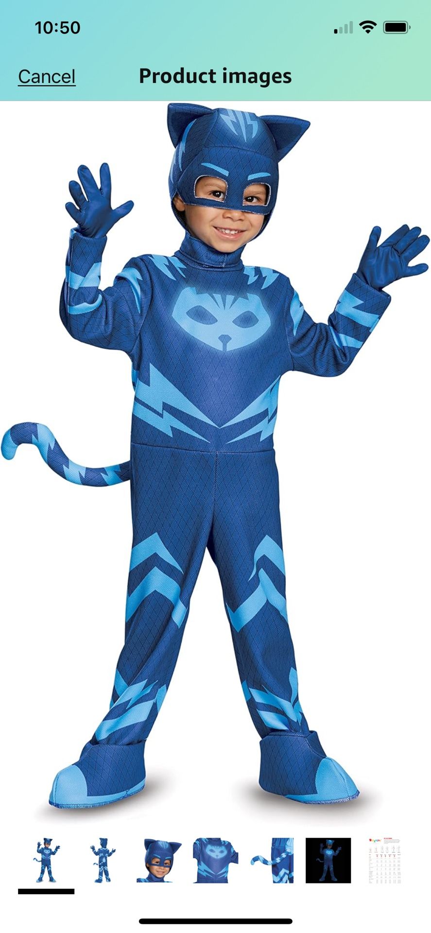 Cat Boy PJ Mask Deluxe Costume