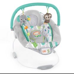 Baby Bouncer